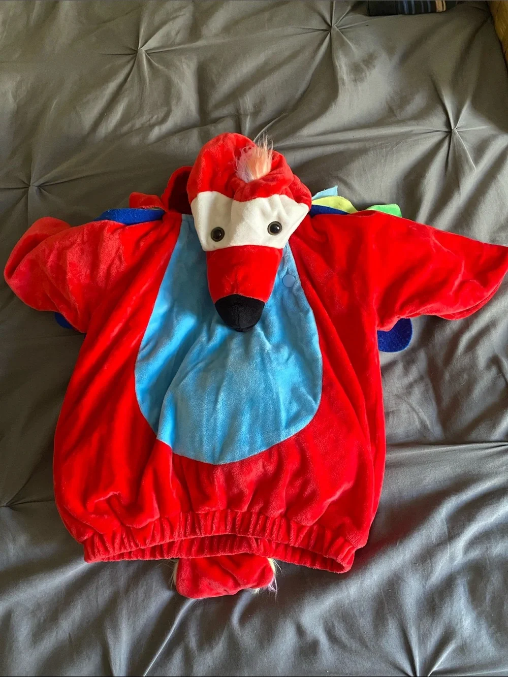 Hyde and Eek! Parrot Costume 12-18M